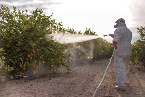 Reliable Pierre, SD Pest Control Solutions