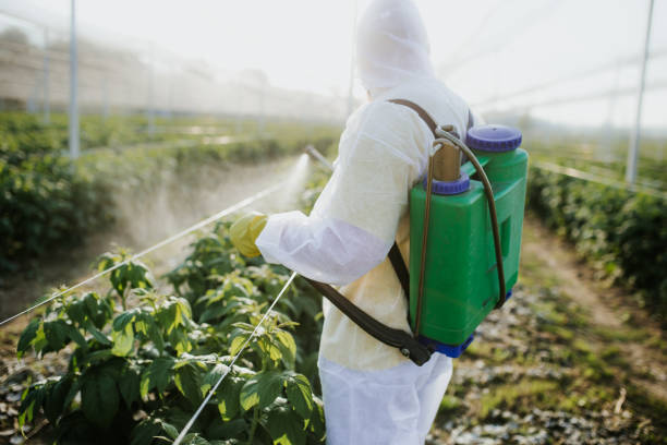Best Exterminator Services  in Pierre, SD